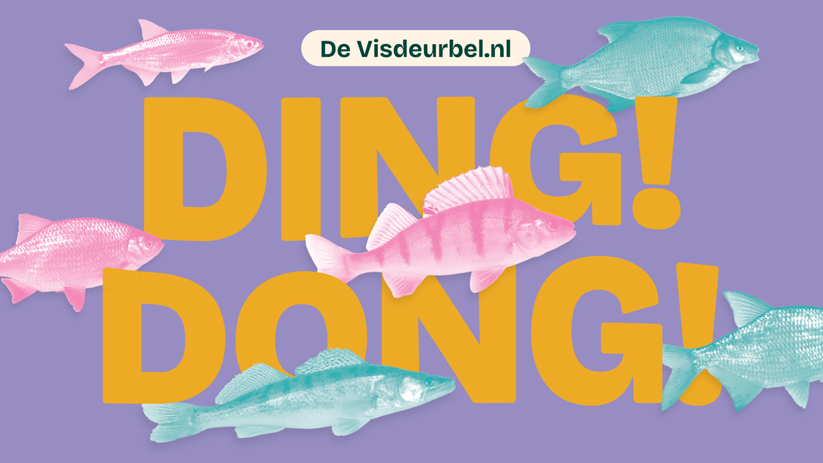 Discover Utrecht's Underwater World: How the Visdeurbel Educates & Empowers